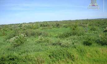 Imagem 3: Área junto a BR448 , Rodovia do Parque, com 247,50 m de frente a rodovia