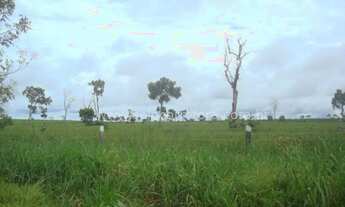 Imagem 2: EXCELENTE FAZENDA NO MUNI. DE NOVA LACERDA-MT