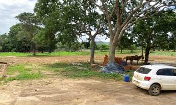 Imagem 4: Fazenda em Palmeiropolis-TO. 60 mil por alqueire