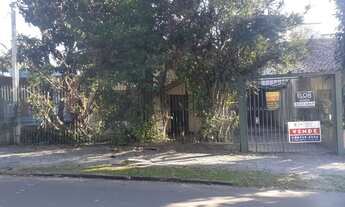 Imagem 5: Porto Alegre - Terreno Padrão - Vila Ipiranga