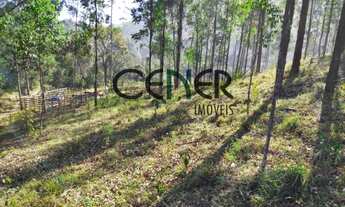 Imagem 7: 2254 Ótimo Terreno De 10 Ha Ideal Para Uma Bela Fazendinha Em Jeceaba Mg