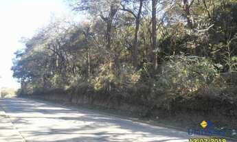 Imagem 7: Terreno à venda, 2000 m² por R$ 300.000,00 - São Gabriel - Colombo/PR