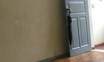 Imagem 5: Apartamento para Locação em Rio de Janeiro, VISTA ALEGRE, 1 dormitório, 1 banheiro