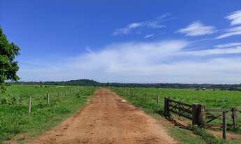 Imagem 7: Fazenda 325 Alqueires Região de Ariquemes
