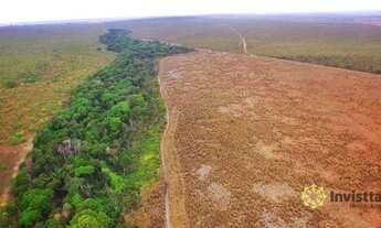 Imagem 3: Fazenda à venda 850 Ha - Presidente Kennedy/TO