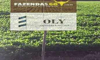 Imagem 3: Oportunidade ! Fazenda em Paraúna - 250 Alqueires