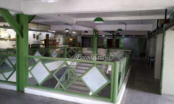 Imagem 2: Salão para alugar, 506 m² por R$ 12.000,01/mês - Imirim - São Paulo/SP