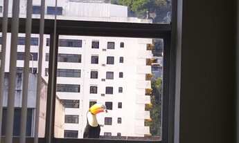 Imagem: Apartamento 4 Quartos, 170m² por R$ 1.150.000