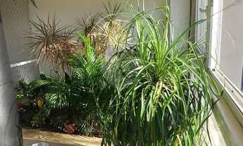 Imagem 6: CASA À VENDA COM 3 QUARTOS, 3 VAGAS NA VILA IPOJUCA - LAPA