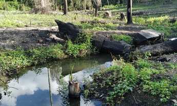 Imagem 6: Vendo Sítio no Careiro Castanho BR319 -Ramal são jose