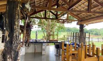 Imagem 7: Chácara em Andirá