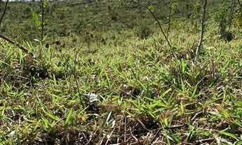 Imagem 3: Vende-se lote/terreno para construção de casa de campo