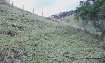 Imagem 7: Rural fazenda, sítio e chácara em Jacarei