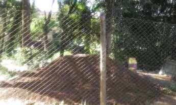 Imagem 3: Lote são José da Lapa