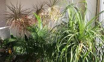 Imagem 7: CASA À VENDA COM 3 QUARTOS, 3 VAGAS NA VILA IPOJUCA - LAPA