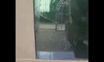 Imagem 5: Casa Jardim dos ipes MARAJO