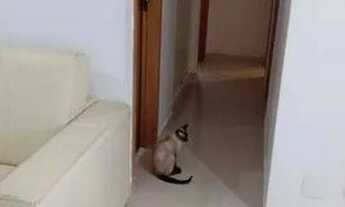 Imagem 5: Apartamento com 3 dormitórios à venda, 86 m² por R$ 960.000 - Vila Mariana - São Paulo/SP