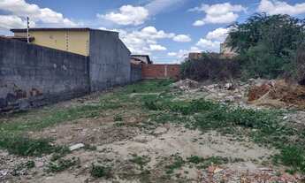 Imagem: Lote/Terreno no Renascer 8x30