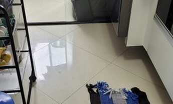 Imagem 7: Apartamento com 2 Quartos e 1 banheiro à Venda, 50 m² por R$ 315.000