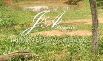 Imagem 3: Ótima Chácara 15,6 em Terenos