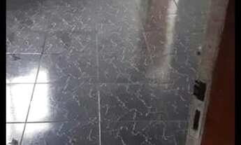 Imagem 4: Aluga-se Casa Parque 10