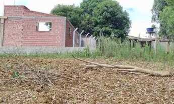 Imagem 4: Terreno Colônia Murici