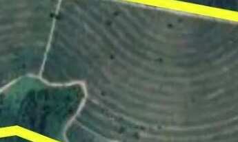 Imagem: Cana a 57 toneladas/Ano em Nhandeara