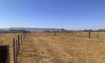 Imagem 3: Fazenda em campina verde