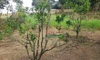 Imagem 6: Sítio com 2 dormitórios à venda, 16384 m² por R$ 1.050.000,00 - Bom Retiro - São José dos