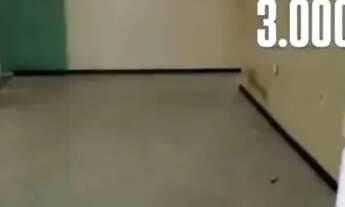 Imagem 4: Casa Super Ampla no Cohatrac