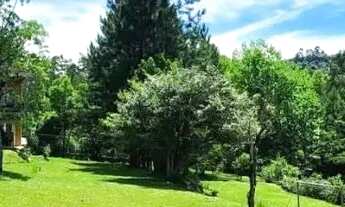 Imagem 2: Sítio / Chácara para Venda em Picada Café, Morro Bock