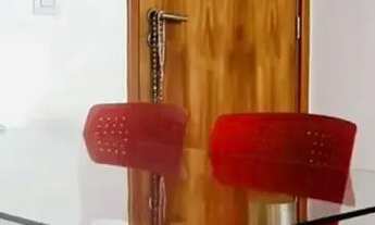 Imagem 7: Apartamento à venda no JARDINS TAMARINEIRA