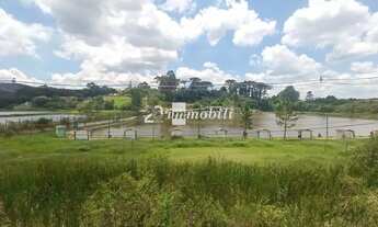 Imagem 3: Terreno à venda em São Roque, Jardim Cardoso (Mailasqui