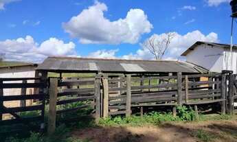 Imagem 6: A&M IMOVEIS VENDE EXELENTE FAZENDA COM 101,64 HECTARES