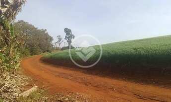 Imagem 6: CHÁCARA PRÓXIMO A CASCAVEL 3 ALQ codigo: 154500