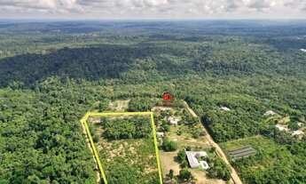 Imagem 5: Terreno com 6.000m² na Avenida Cláudio Mesquita, Tarumã-Açu