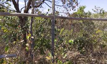 Imagem 5: VENDO OU TROCO CHÁCARA EM JABOTICATUBAS-MG