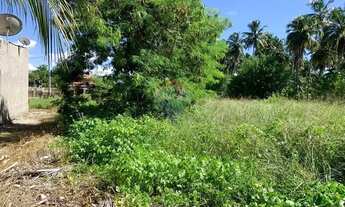 Imagem: Terreno incrível em Tatuamunha - Ótimo