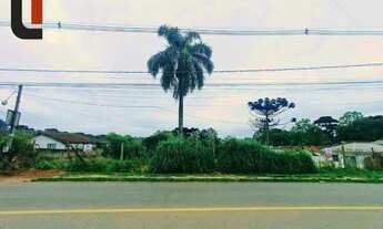 Imagem 6: Terreno à venda, 4260 m² por R$ 1.950.000,00 - Santa Cândida - Curitiba/PR