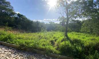 Imagem 2: Lote 1000m Esmeraldas