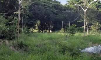 Imagem 2: Chácara Aragoiania 5 mil metros!! ESCRITURADA!!