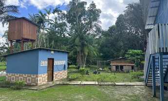 Imagem 3: Vendo ou troco sítio no ramal do pau rosa km 24