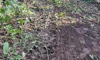 Imagem 7: De 7 milhões por APENAS R$6 milhões