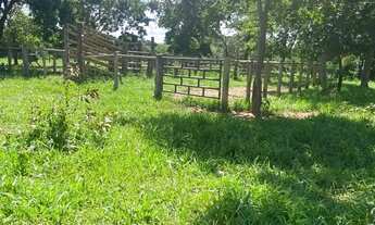Imagem 3: Fazenda a venda em Pontalina Goiás!!!