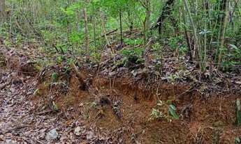 Imagem 4: Terreno em Mairiporã