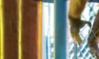 Imagem 7: Avaliado em R$ 2.200.000 e Você leva por R$ 1.590.000