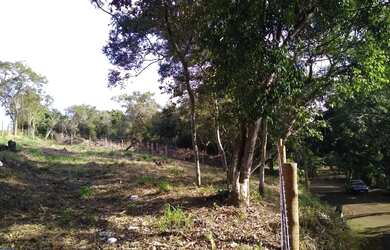 Imagem 7: Lote / terreno com 770 m² à venda no Lameirão - Guarapari ES