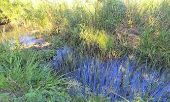 Imagem 2: Lote exclusivo de 581m², 100% aproveitável, com nascente, Fruta, aberto a propostas, troco