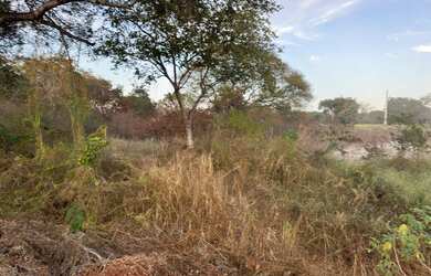 Imagem 6: Beira do rio São Francisco (terreno