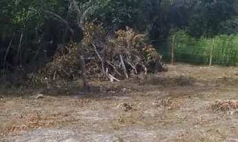Imagem 3: Lote em taquaracu de minas 1000 metros cercado